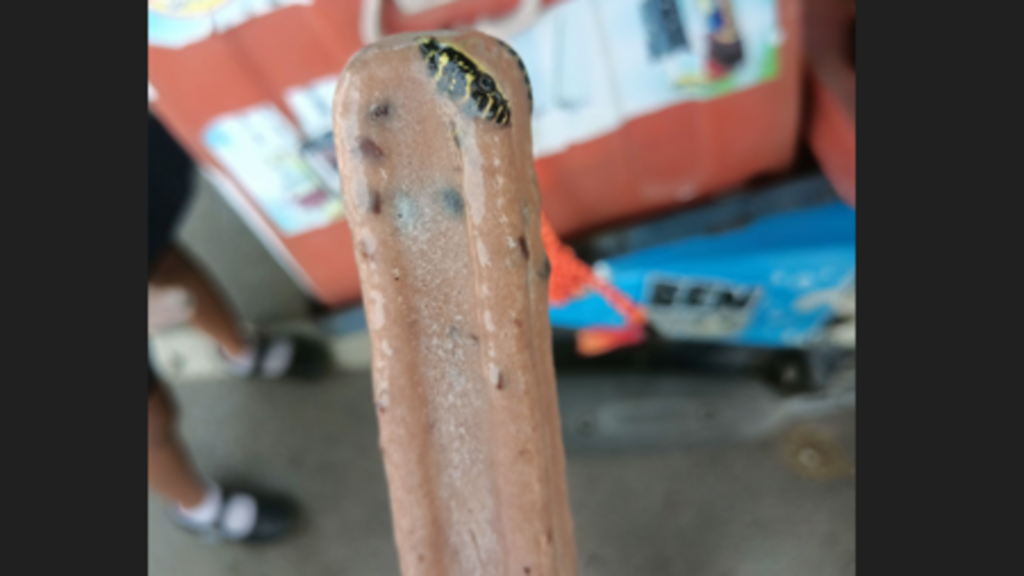 Thai man finds entire snake frozen inside ice cream bar, internet is horrified | Trending