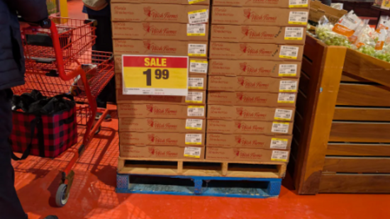 Trending News Live Today March 10, 2025: Florida strawberries go unsold in Canada amid tariff tensions: ‘They couldn’t give them away’