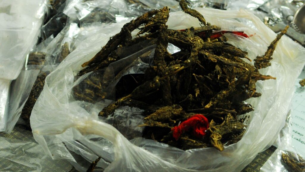 Tripura: 37 kg of ganja seized from 6 abandoned bags at Agartala railway station | Latest News India