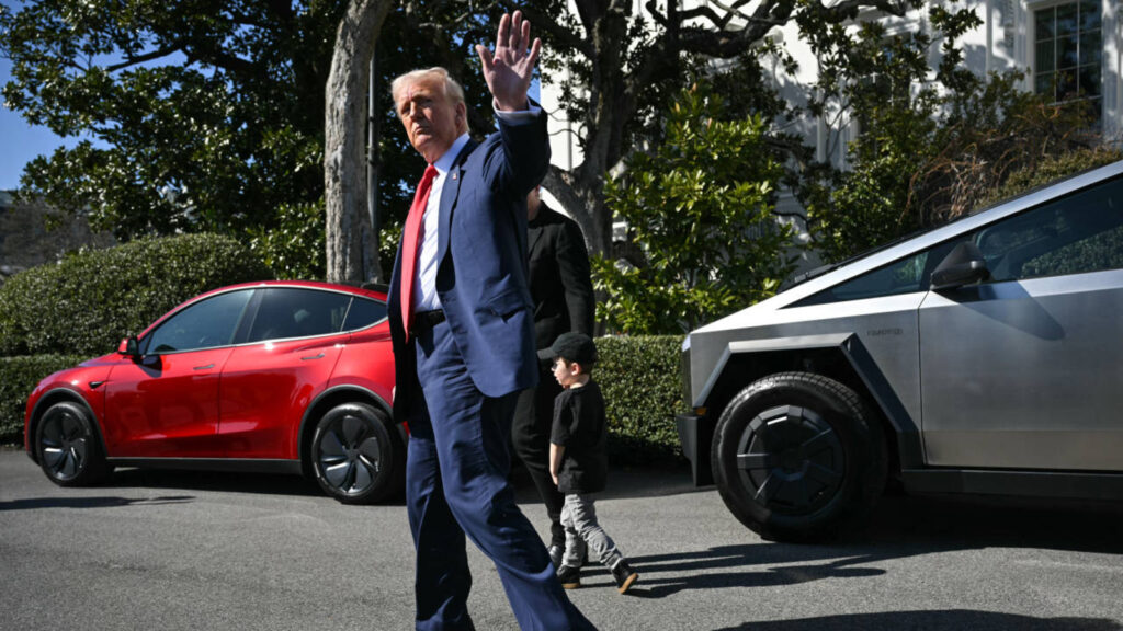 Trump administration halves staffing at Education Department | Education