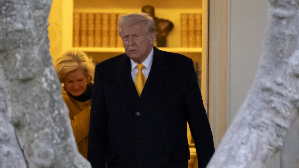 Trump administration sued by 20 states for firing federal workers illegally