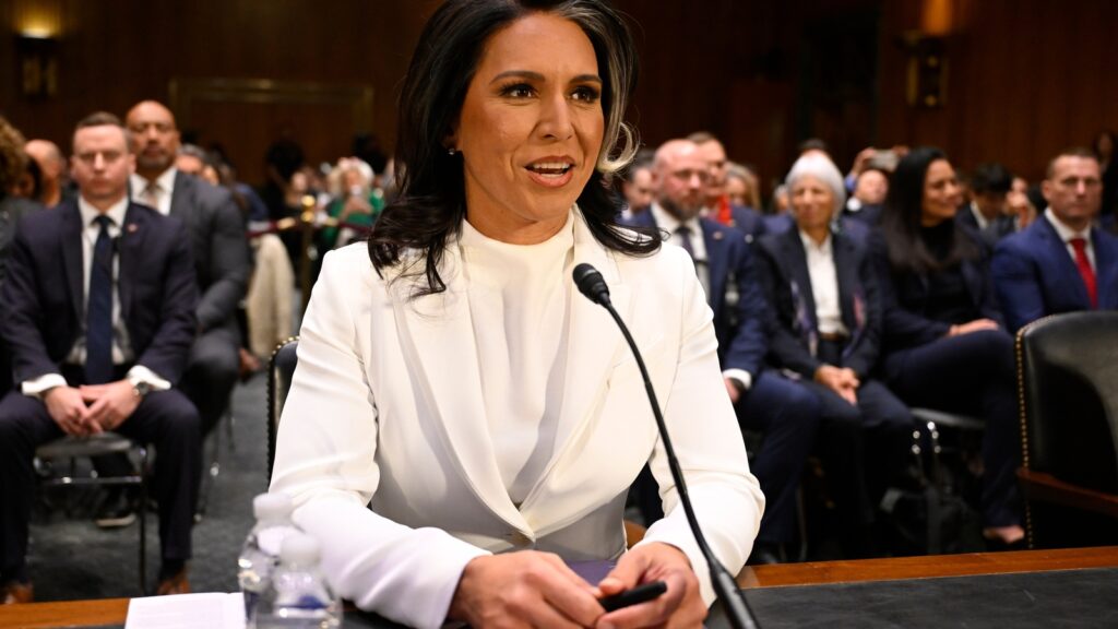 Tulsi Gabbard slams Europe’s ‘hypocrisy’ and ‘anti-freedom policies’ after Trump-Zelenskyy clash