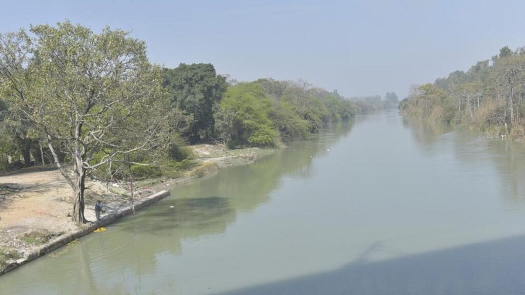 UGC road project: New report points to excess tree-felling, lack of clearance from Centre