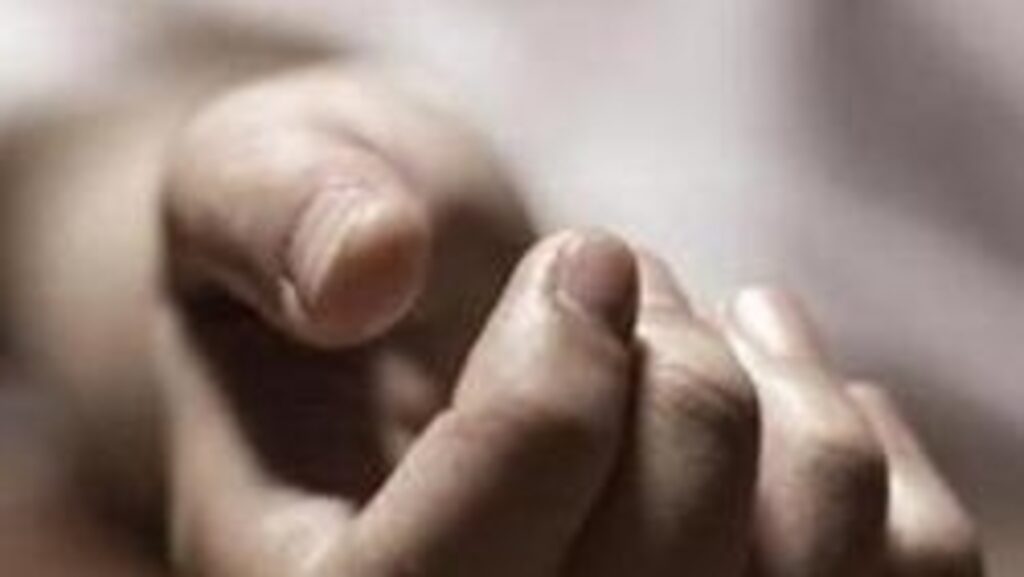 UP: Toddler dies after his neck gets trapped in new car’s power window during puja | Latest News India