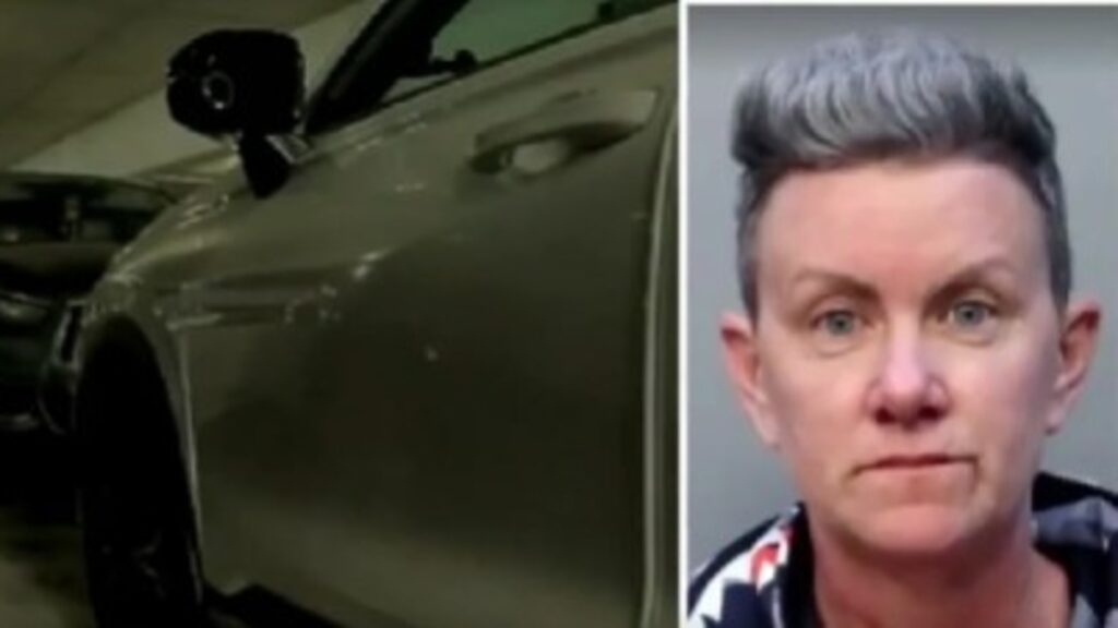 Who is Yamaris Marrero? Florida woman faces felony for Tesla bubble gum vandalism; watch ‘filthy act’ here | World News