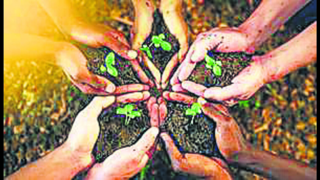 With focus on renewable energy, Chandigarh admn revises climate action plan