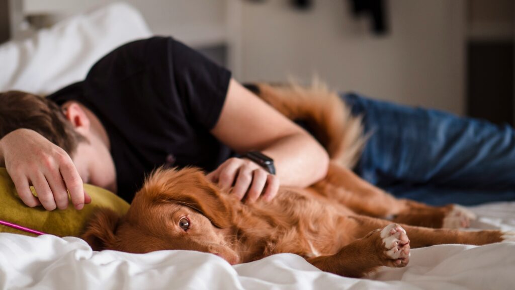 World Sleep Day: Expert-backed tips on how you can get the best night’s sleep