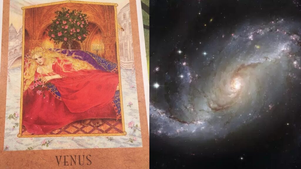 You’ve entered a 2-week relationship portal in the middle of Venus X Mercury retrograde: What you NEED to know!