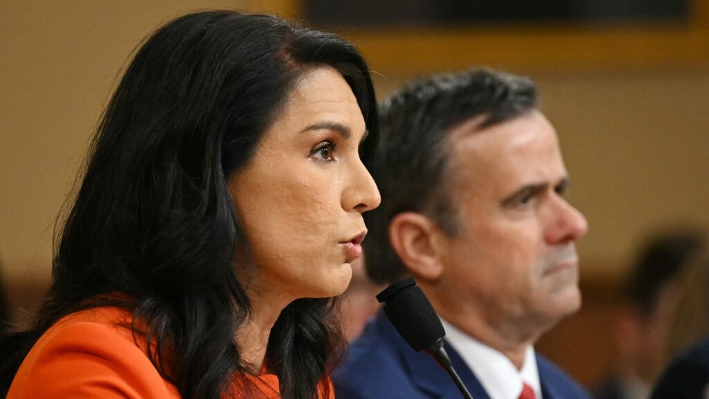 ‘It was a mistake, but…’: Tulsi Gabbard as Trump officials grilled over leaked US military plan on Signal