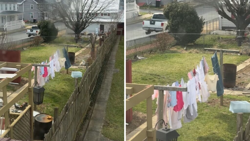 ‘Not India, this is USA’: Viral video of clothes drying in backyard triggers heated discussion, backlash | Trending
