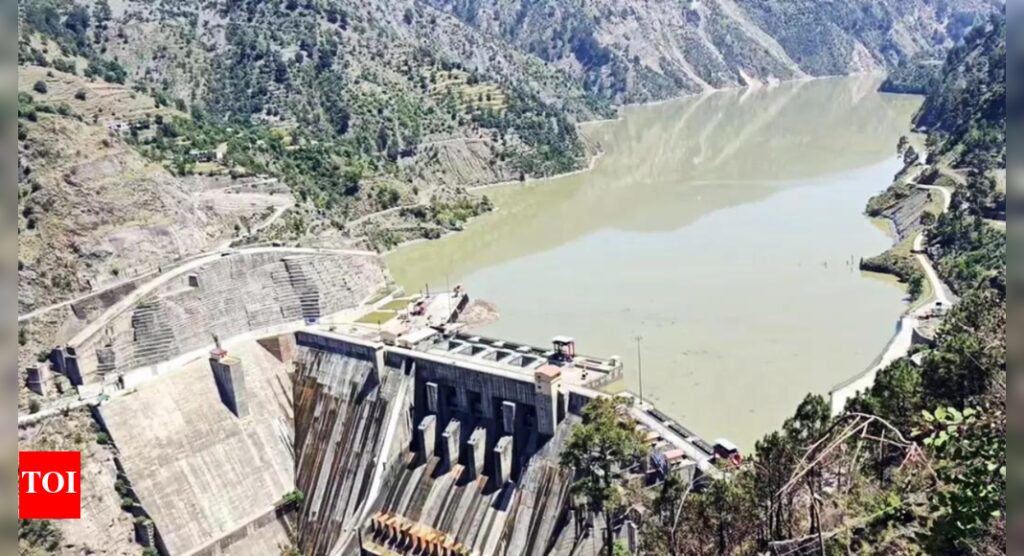 ‘Can’t be expected to continue to cooperate’: Indian embassy in US on India freezing Indus Water Treaty amid Pahalgam terror attack | India News