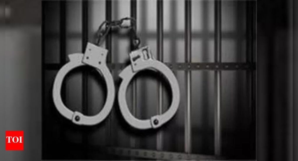 Indian National Charged In Singapore: Indian national to be charged in Singapore for molesting cabin crew member mid-flight