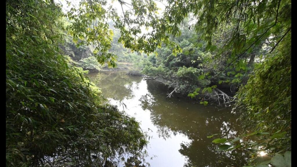 Action against wildlife crime, forest fire planned in U.P.