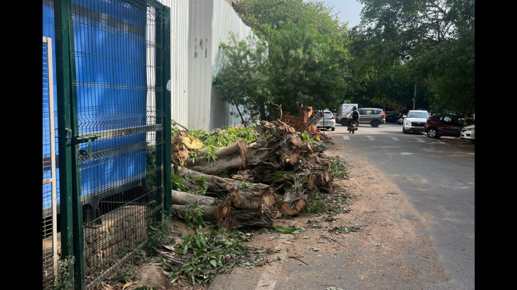 Activist alleges dept involved in tree felling in DLF Phase 1 areas