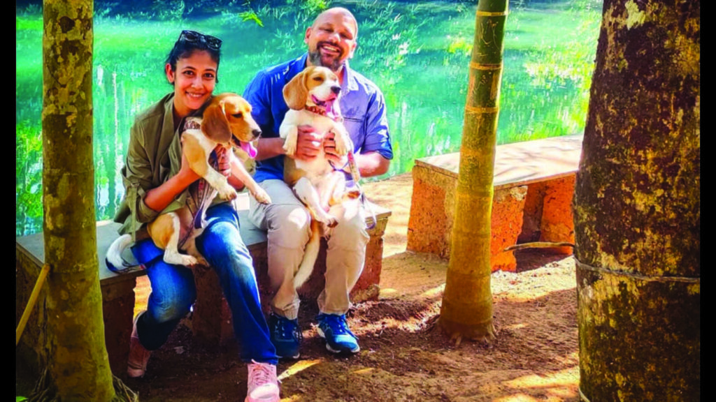 All fur you: See how far pet parents go for their doggos