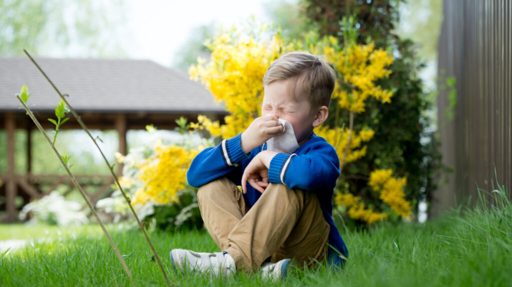 Allergy season intensifies: Tips to manage symptoms and enjoy the outdoors | Health