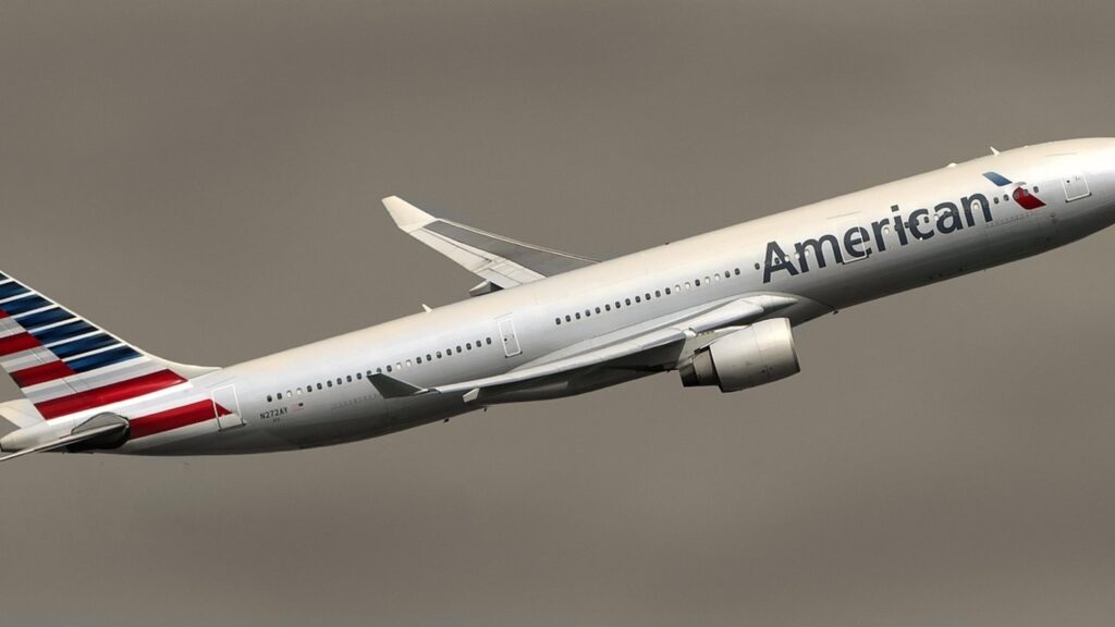 American Airlines flight forced to divert after disruptive passenger throws fit over meal
