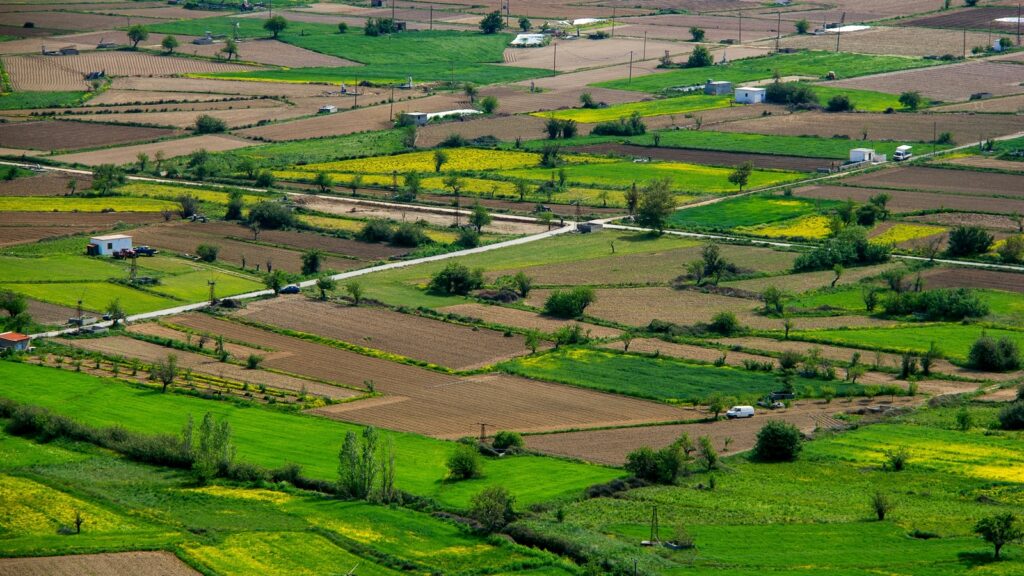 Bengaluru real estate: Where can you buy plots for less than ₹1 crore in north Bengaluru?