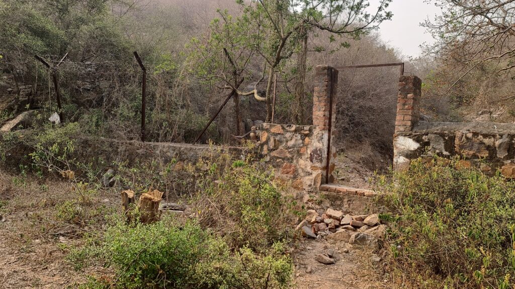Bhondsi and Mangar forests reel under admin apathy