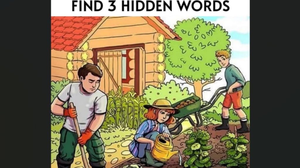 Brain teaser: Can you find the 3 hidden words in this image? Put your focus to the test | Trending