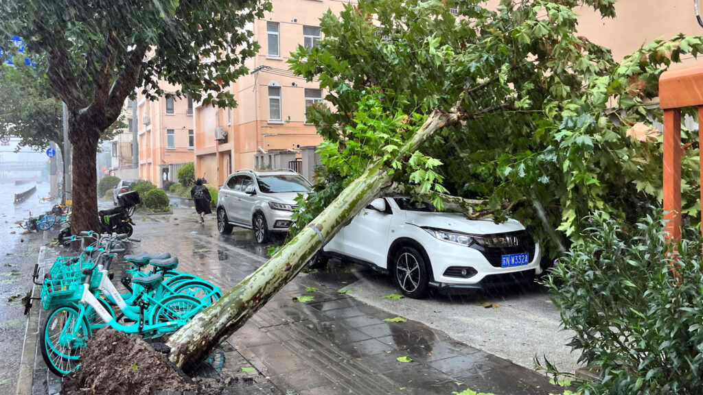 China on travel alert: Cancelled trains and travel chaos as Beijing shuts down amid typhoon-like wind | Travel