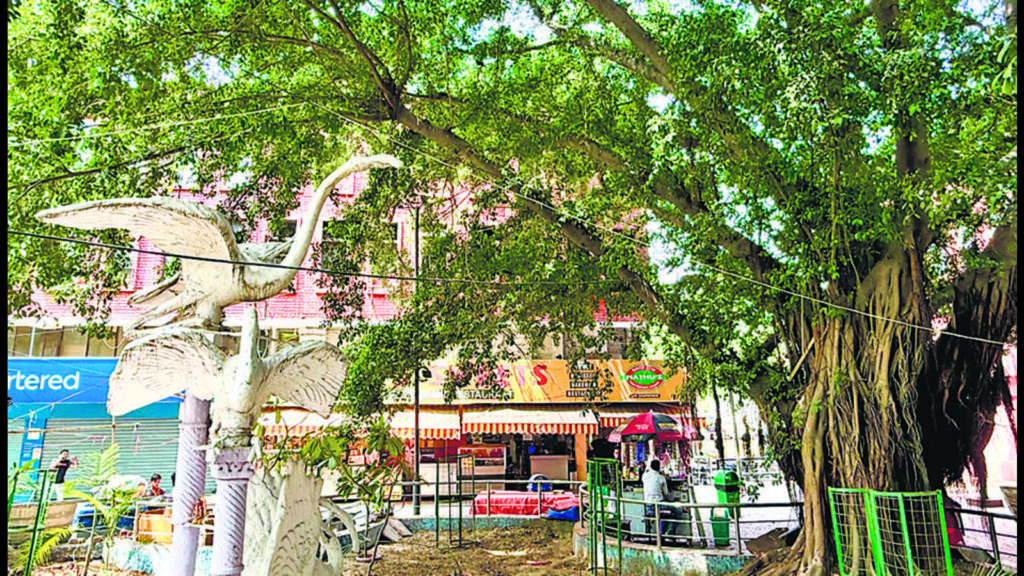 Delhiwale: Musical tree | Latest News Delhi