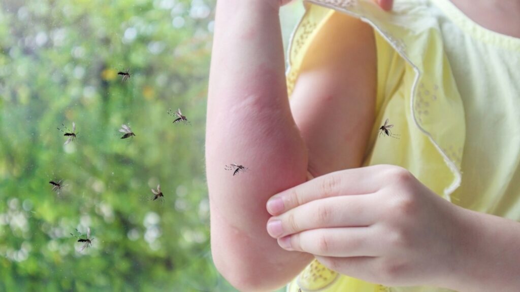 Doctor explains the dangers of malaria in children; shares prevention tips to follow | Health