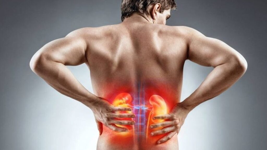 Doctor says this everyday habit could be damaging your kidneys, shares 9 myths to stop believing now | Health