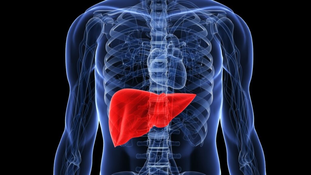 Doctor shares 5 signs of fatty liver you can easily check at home: From unexplained belly fat to sudden fatigue | Health