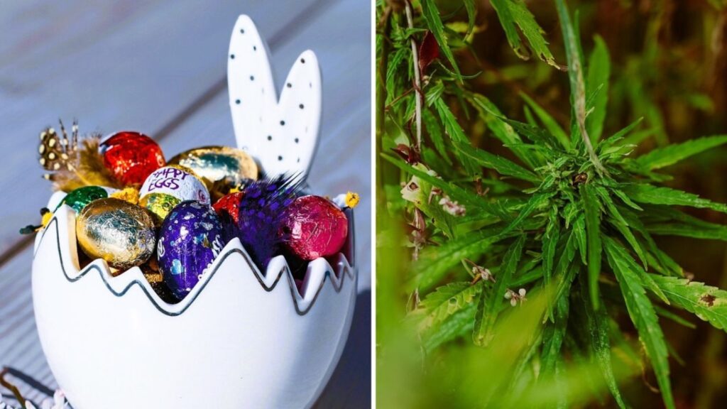 Easter Sunday 2025 coincides with 4/20: Have the 2 days aligned before and when will this happen again?