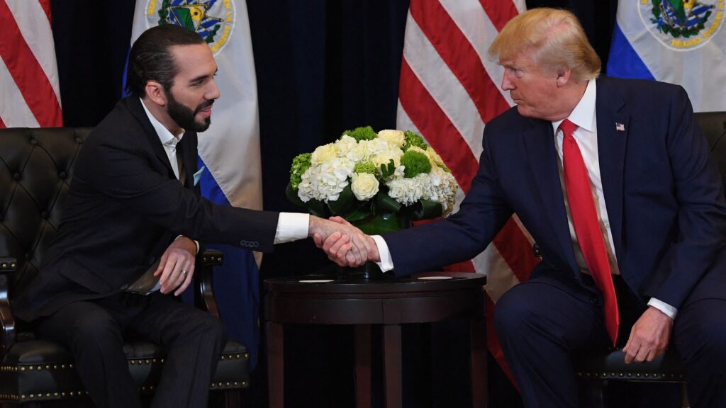 El Salvador Prez Nayib Bukele’s apparent dig at Europe ahead of Trump meeting, Musk reacts