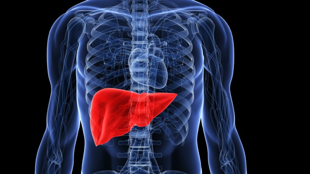 Experts warn of rising fatty liver disease among young adults in India | Health