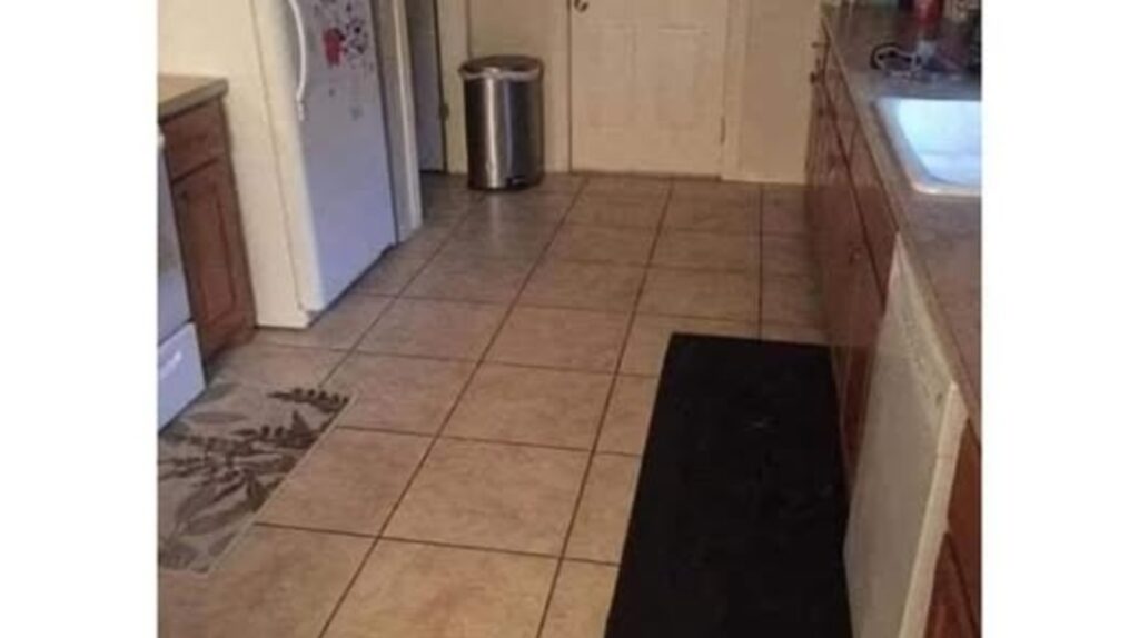 Eyesight test challenge: Can you spot the hidden dog in this image to earn the title of visual genius? | Trending