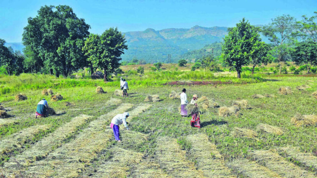 Farm loan waiver derailed by data disaster, 656K still waiting | Mumbai news