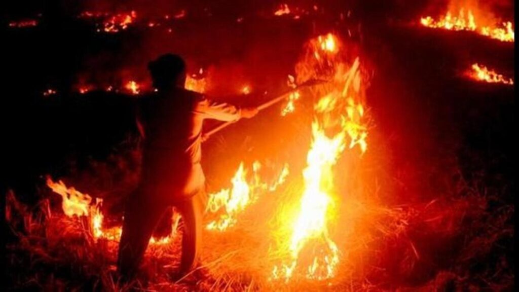Farmers burning stubble won’t get ₹6,000 benefit, can’t sell at MSP: Mohan Yadav