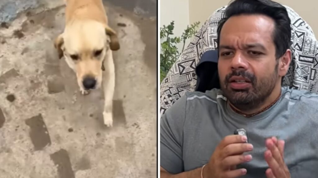 Flying Beast aka Gaurav Taneja slammed for revealing why he sent his pet dog away to farmhouse | Trending
