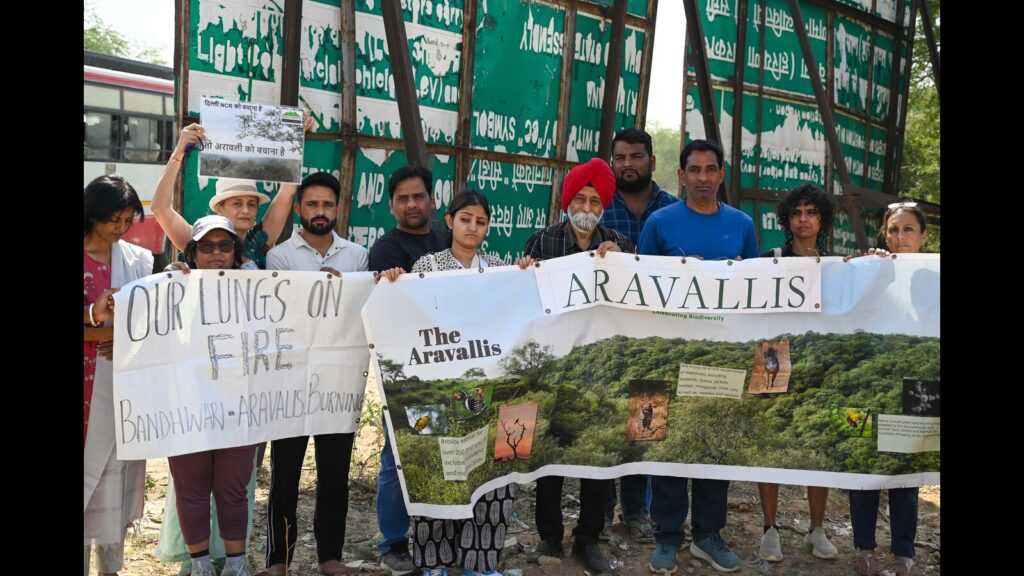 Forest fires ravage Aravallis on Earth Day, allege activists
