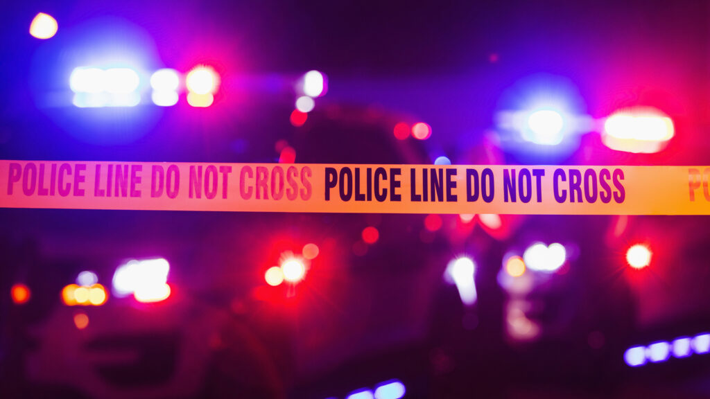 Georgia sheriff’s deputy killed, another injured during traffic stop shooting