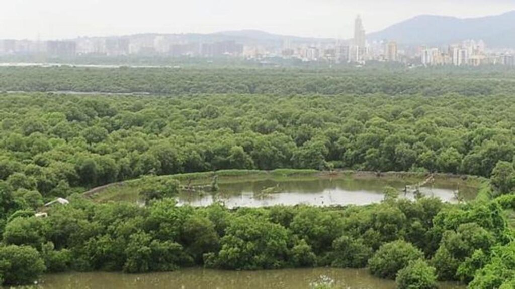 HC questions BMC nod for construction on Goregaon wetland | Mumbai news