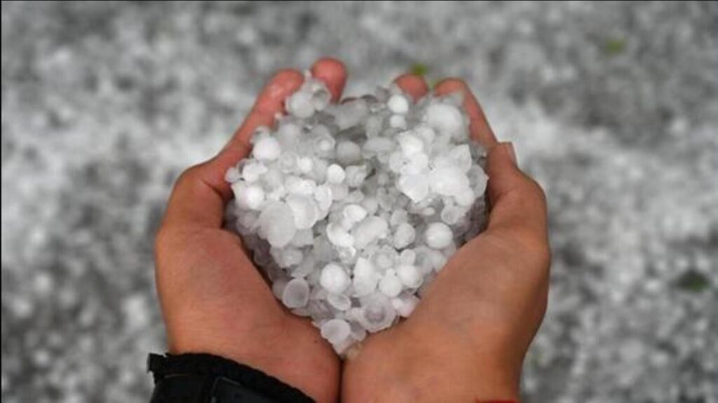 Hailstorm hits south Kashmir, apple farmers face heavy losses