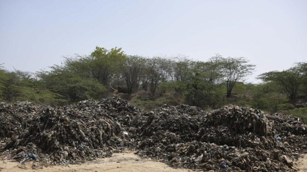 Haryana govt to probe illegal waste dumping