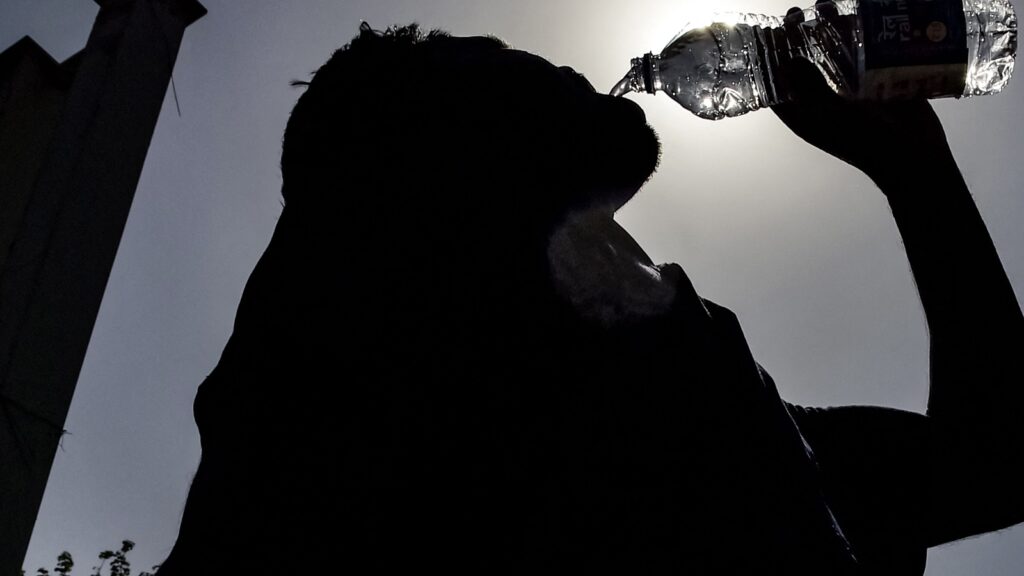 Hotter summer, more heatwaves ahead: IMD | Latest News India