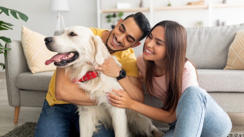 Is it right to get a pet together as a couple? Here’s everything you need to know if you ever break up