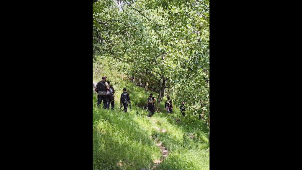J&K Police intensify anti-terror ops, 175 detained in Anantnag