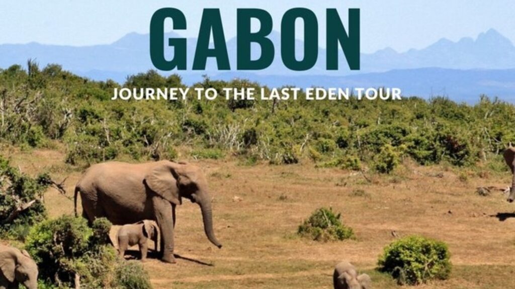 Jet skis, jungle hikes and ghost kings: Why Gabon in Africa could be world tourists’ next travel obsession | Travel