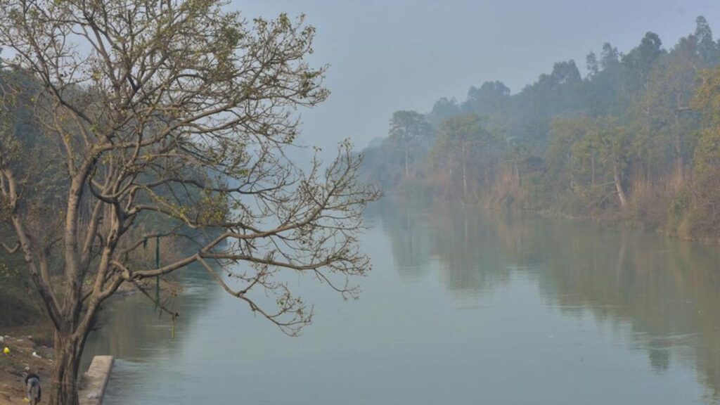 Kanwar Marg project: UP to inquire ‘tree felling exceeding 20m limit’