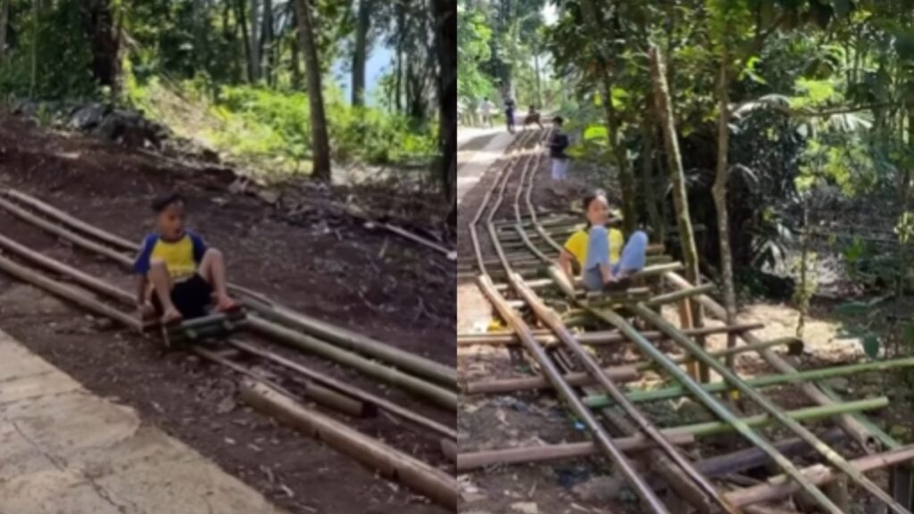 Kids find pure joy riding a bamboo-made roller coaster in Meghalaya: ‘This is what happiness looks like’ | Trending