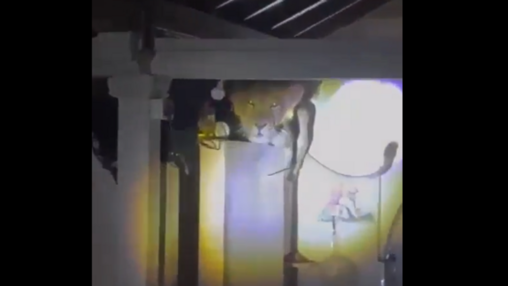 Lion perched on 12-foot kitchen wall in Gujarat’s Amreli, viral video terrifies internet | Trending