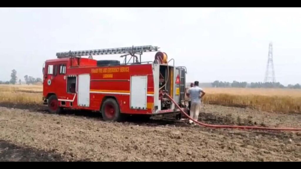 Ludhiana: Fire destroys 18-acre wheat crop in Chaunta village