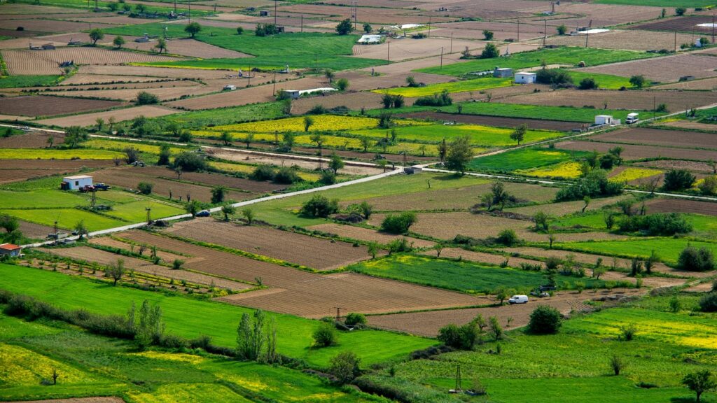 Macrotech Developers to invest ₹8,000 cr this fiscal on land acquisition for business expansion